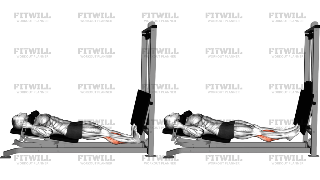 Sled Lying Calf Press