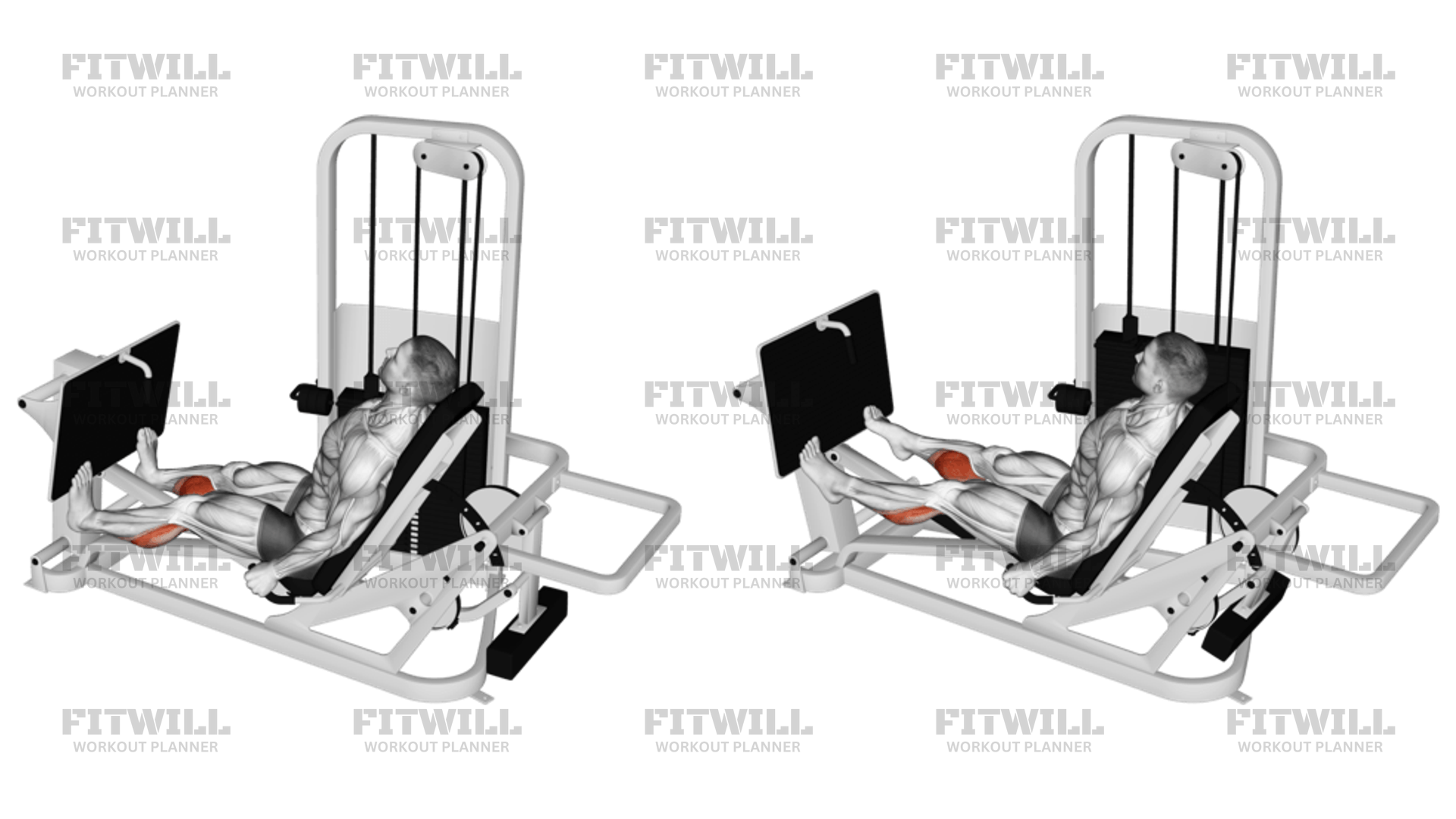 Lever Seated Calf Press Exercise Video Fitwill