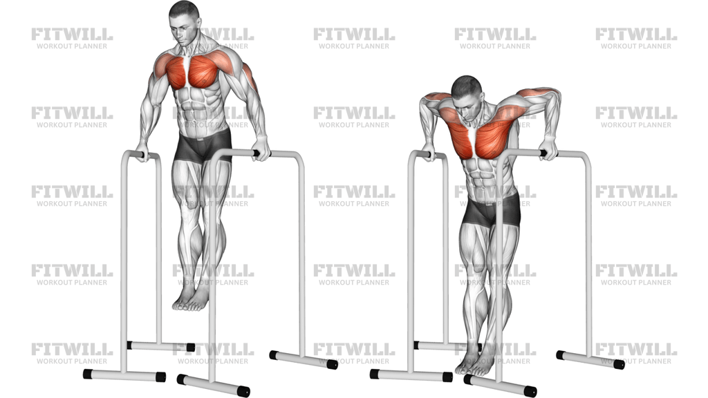 Wide-Grip Chest Dip On High Parallel Bars
