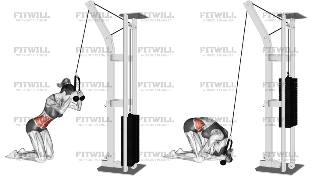 Cable Kneeling Crunch