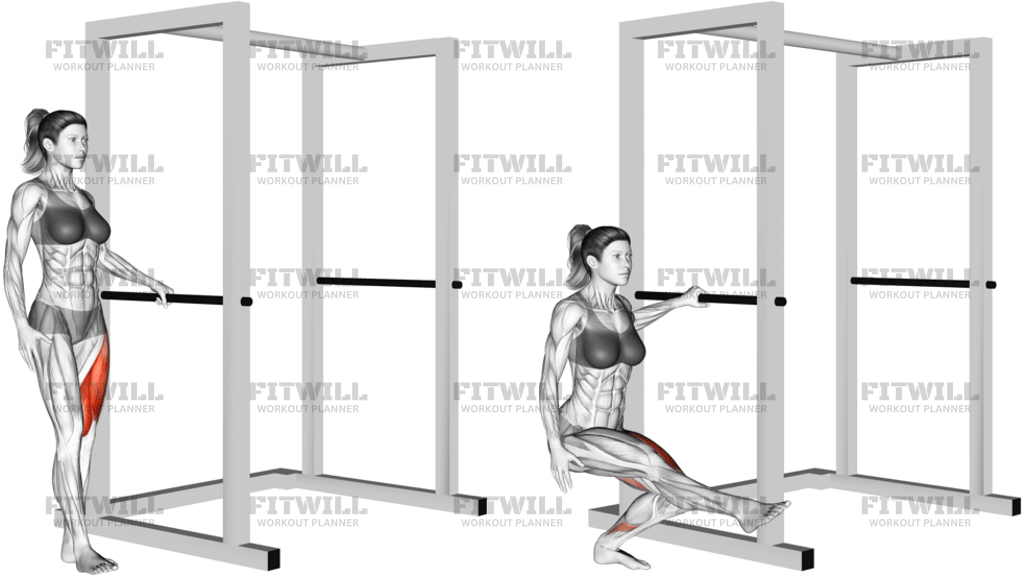 Single Leg Squat With Support