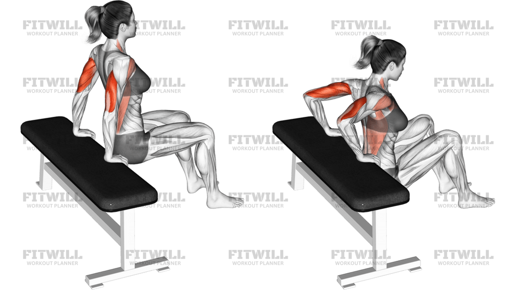 Dizler Bükülü Bench Dip