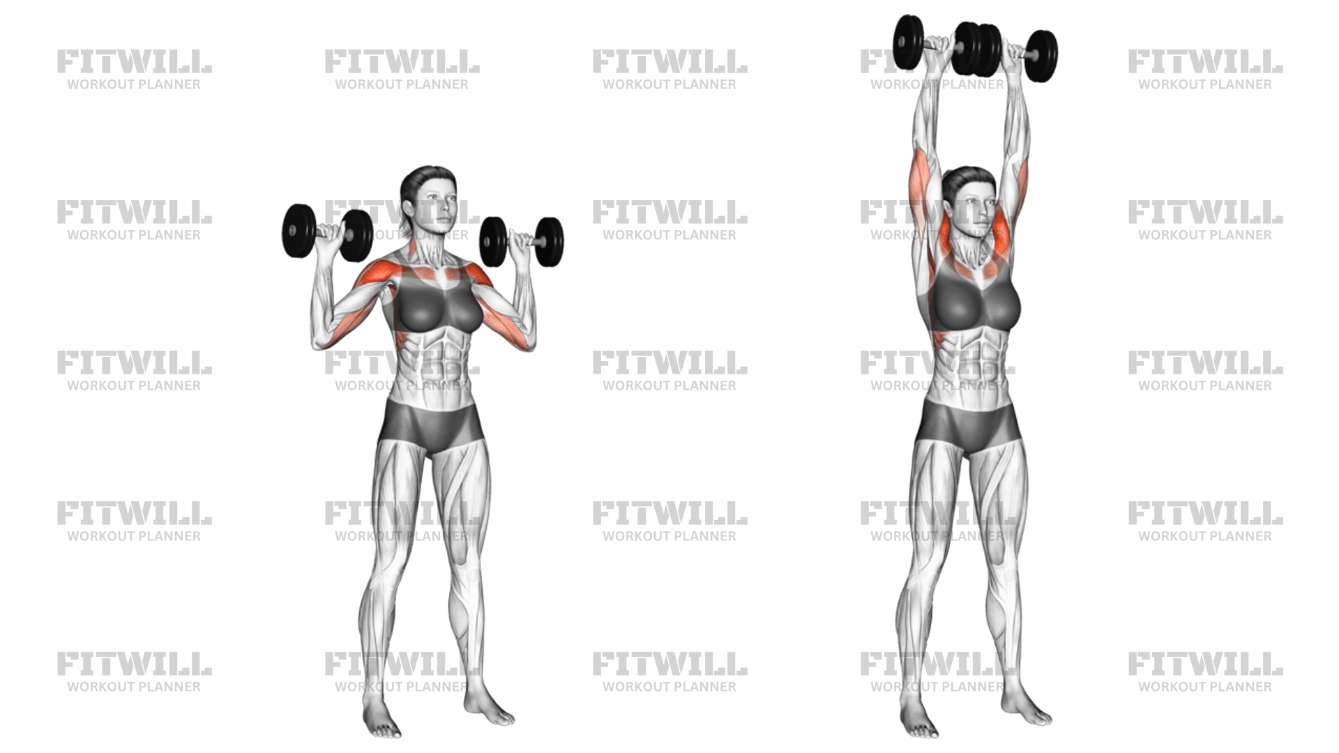 Dumbbell Standing Overhead Press: Exercise Guide, Video, Techniques ...