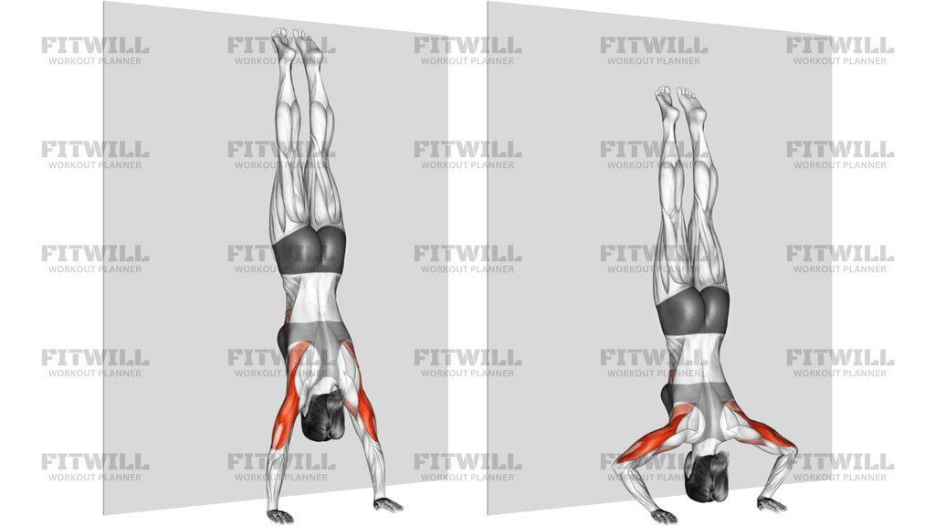 Handstand Push-Up Against The Wall
