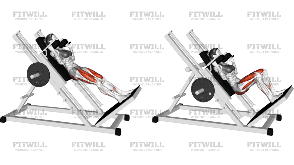 Sled Hack Squat