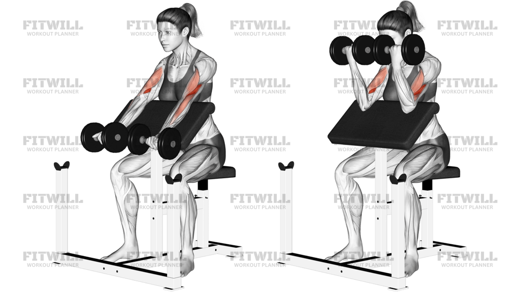 Dumbbell Preacher Curl