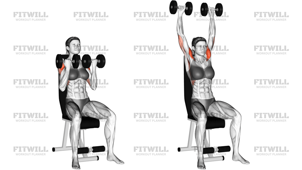 Dumbbell Arnold Press