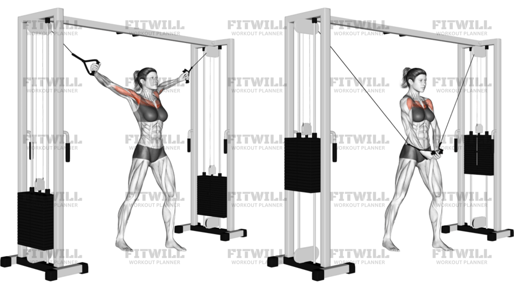 Cable Standing Up Straight Crossovers