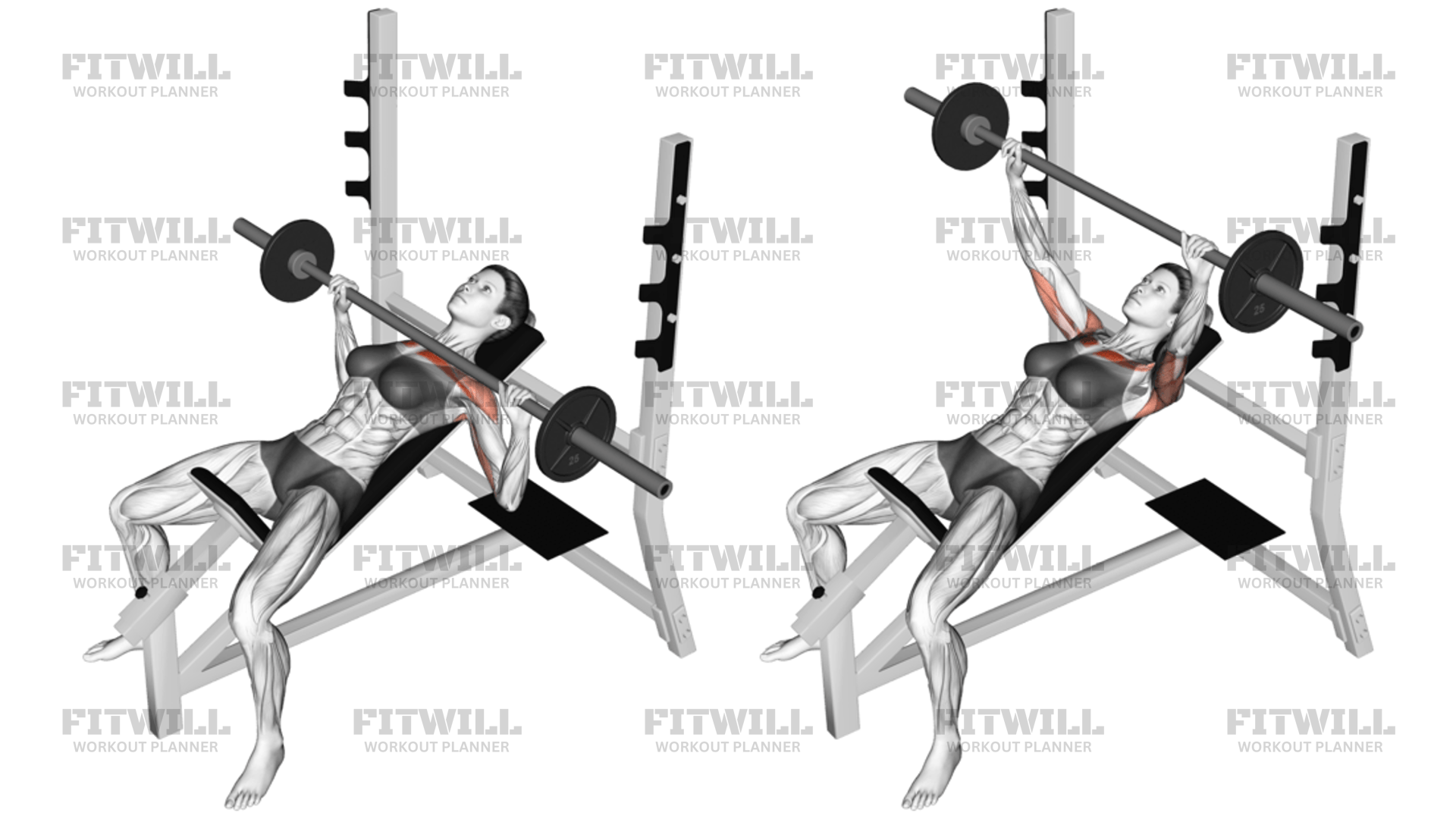 Barbell Incline Bench Press: Exercise Guide, Video, Techniques ...