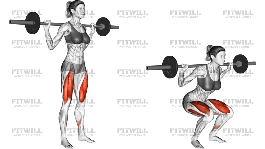 Barbell Narrow Stance Squat