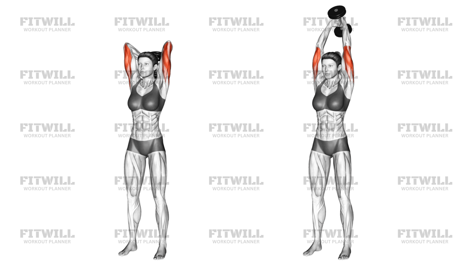 Dumbbell Standing Triceps Extension Exercise Guide, Video, Techniques, Benefits, How to