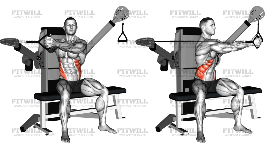 Cable Seated Twist