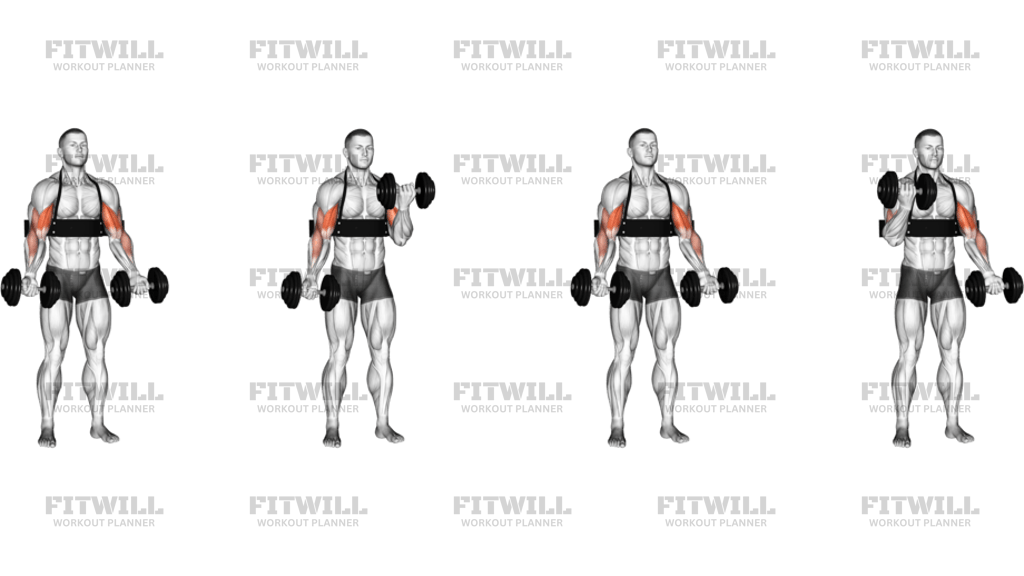 Dumbbell Alternate Biceps Curl With Arm Blaster