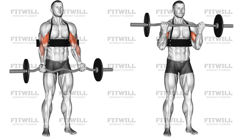 EZ-Bar Biceps Curl With Arm Blaster