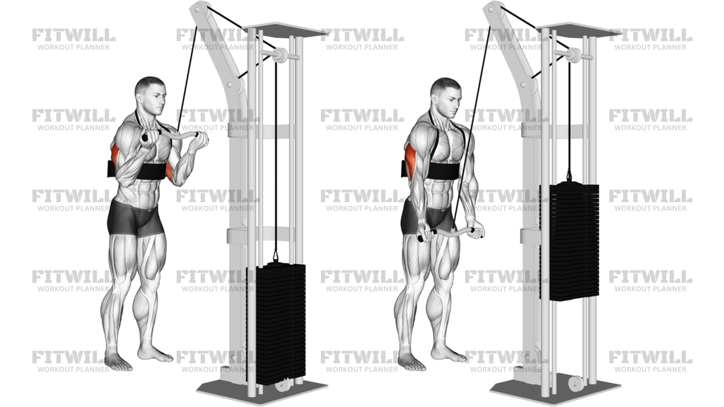 Cable Reverse-Grip Triceps Pushdown SZ-Bar With Arm Blaster