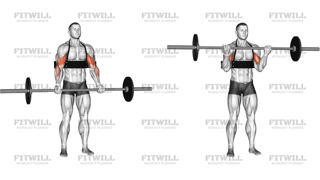 Barbell Biceps Curl With Arm Blaster
