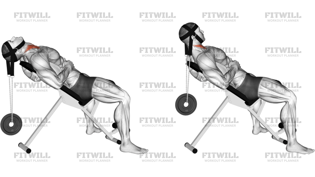 Weighted Lying Neck Flexion With Head Harness
