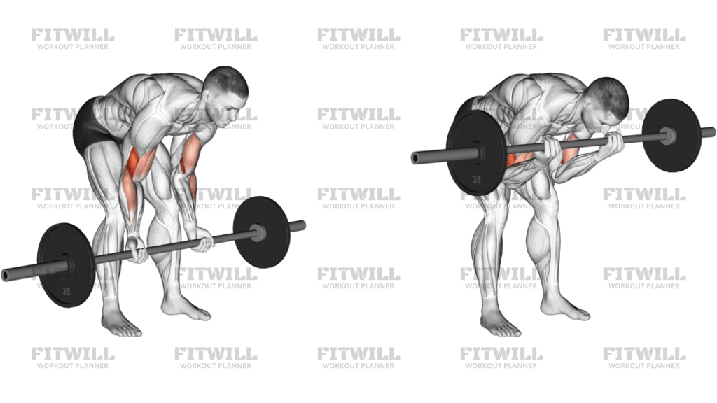 Barbell Standing Concentration Curl