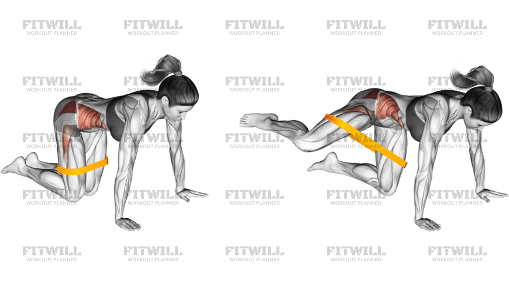 Kneeling Resistance Band Bent Leg Side Kick