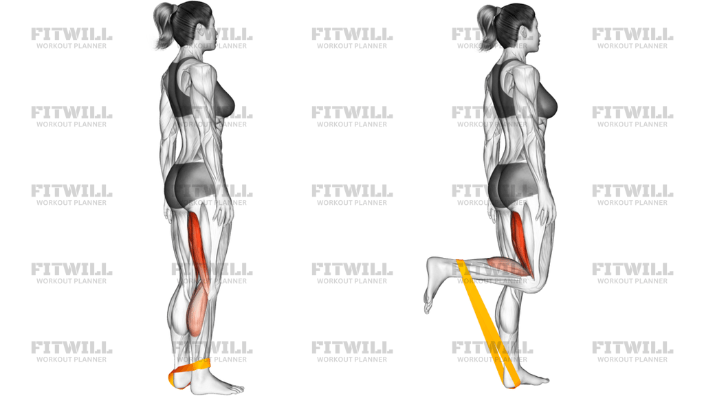 Resistance Band Leg Curl