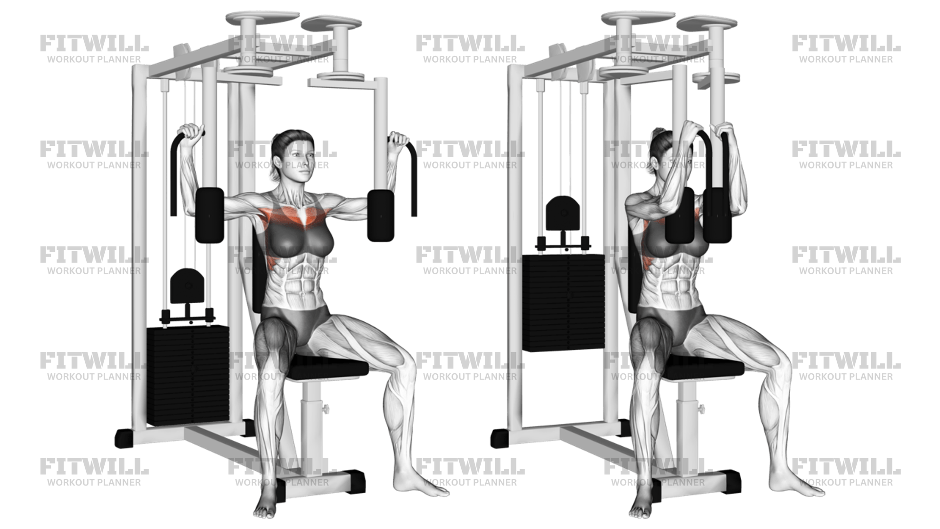 Lever Pec Deck Fly Exercise Guide Video Techniques Benefits How to Muscles Worked Tips Tricks Fitwill