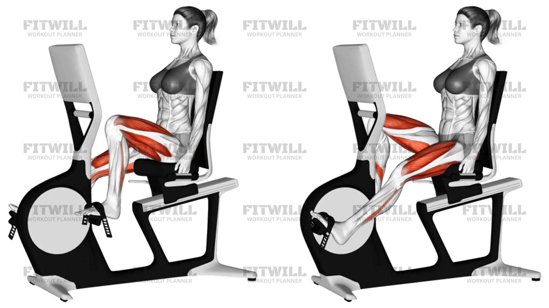Stationary walking exercise hotsell