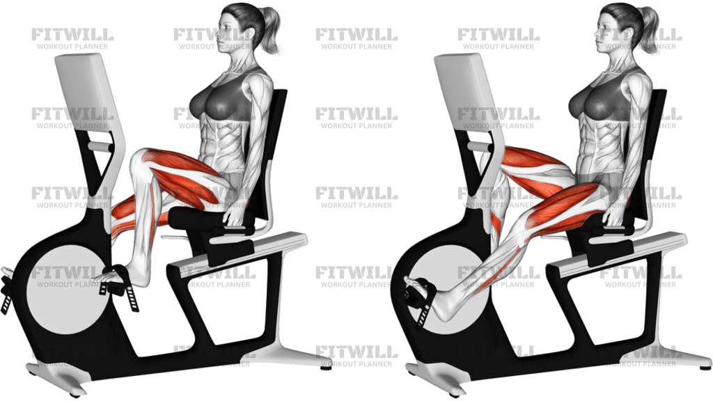 Bicycle Recline Walk