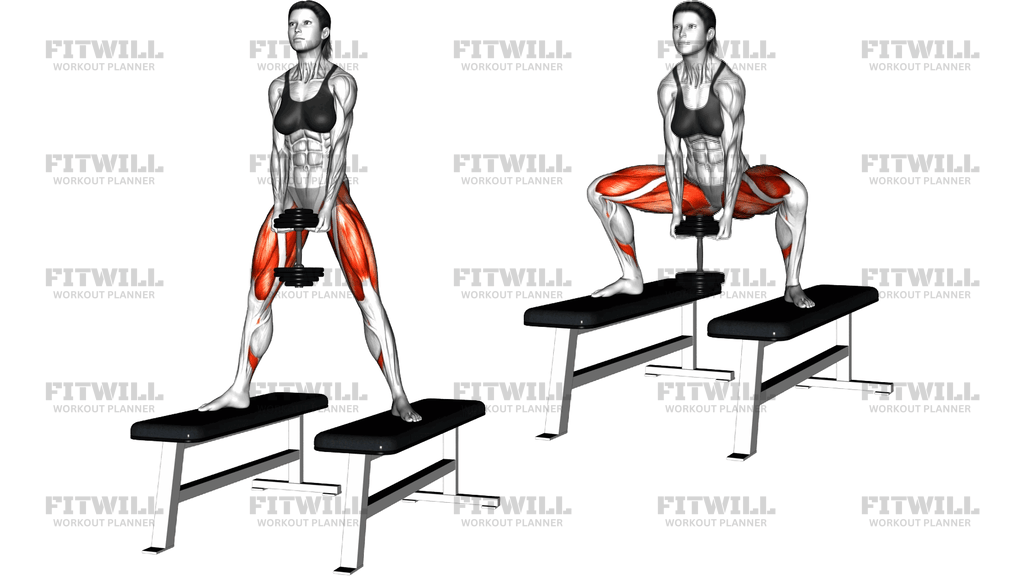 Dumbbell Sumo Squat Off Benches