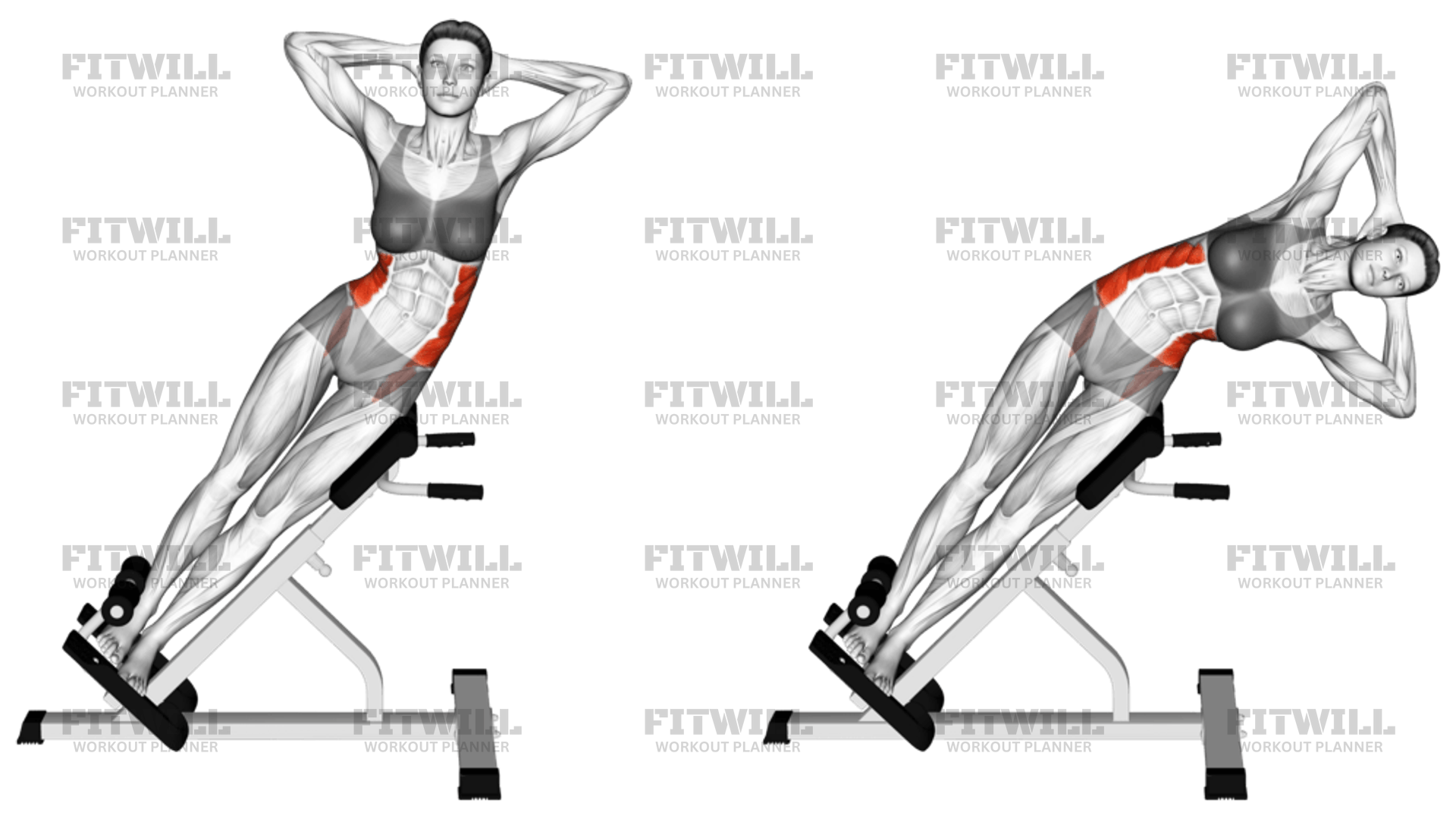 Roman Chair 45 Degrees Side Bend Exercise Guide Video Techniques Benefits How to Muscles Worked Tips Tricks Fitwill