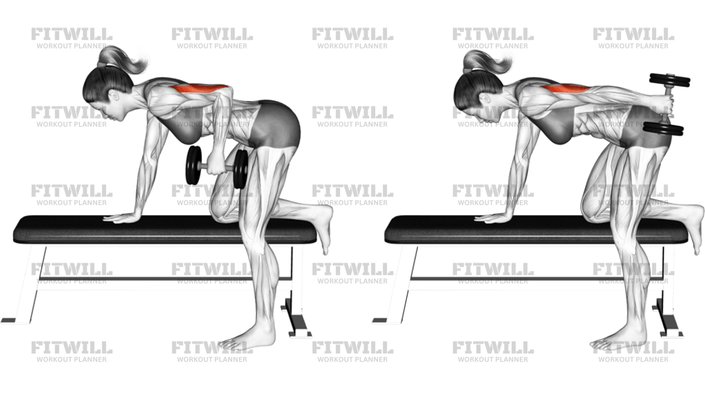 Dumbbell Kickback