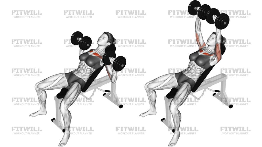 Dumbbell Incline Bench Press