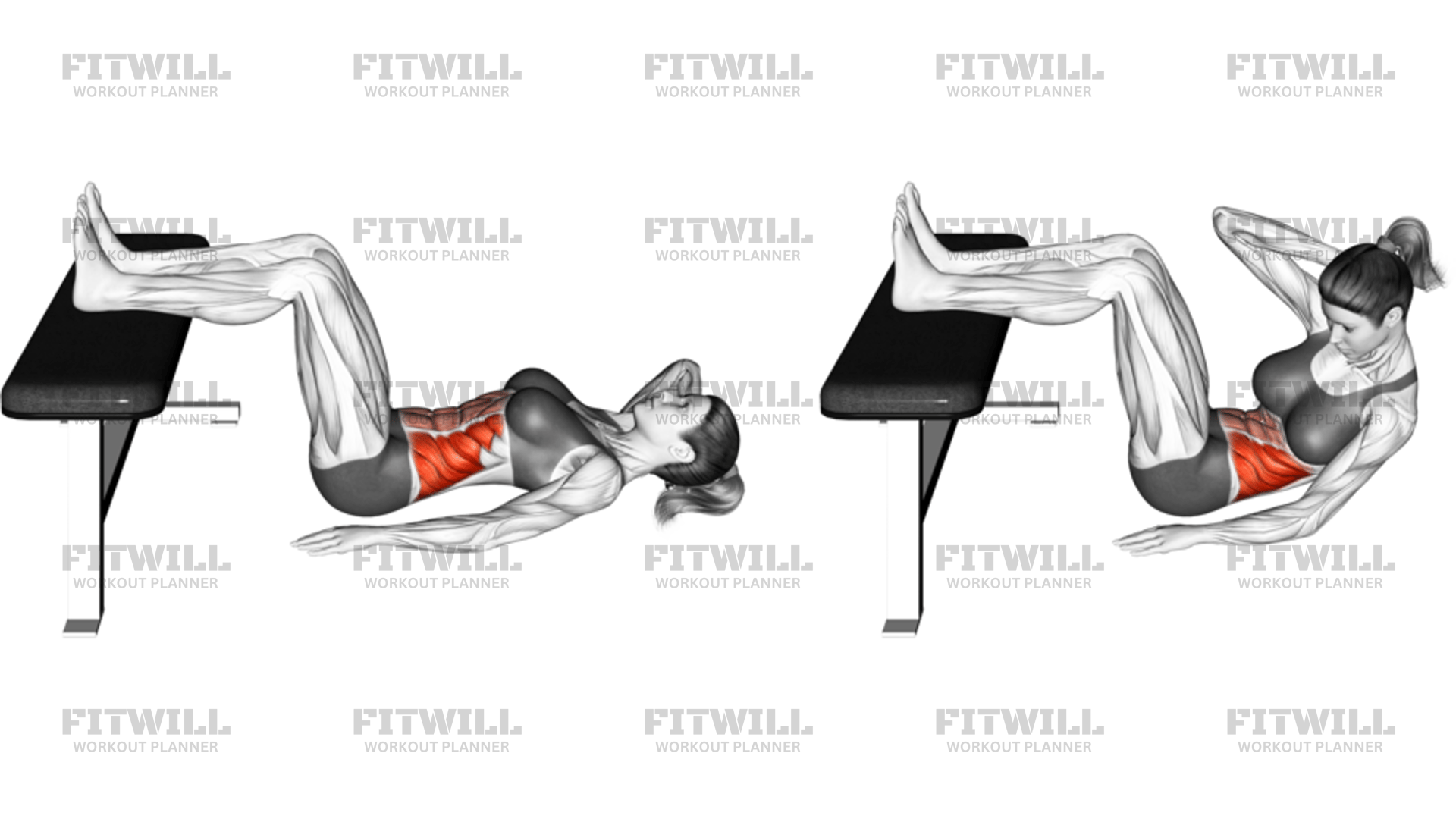 Crunch Oblique Version 2 : Guide d'exercice, techniques, avantages ...