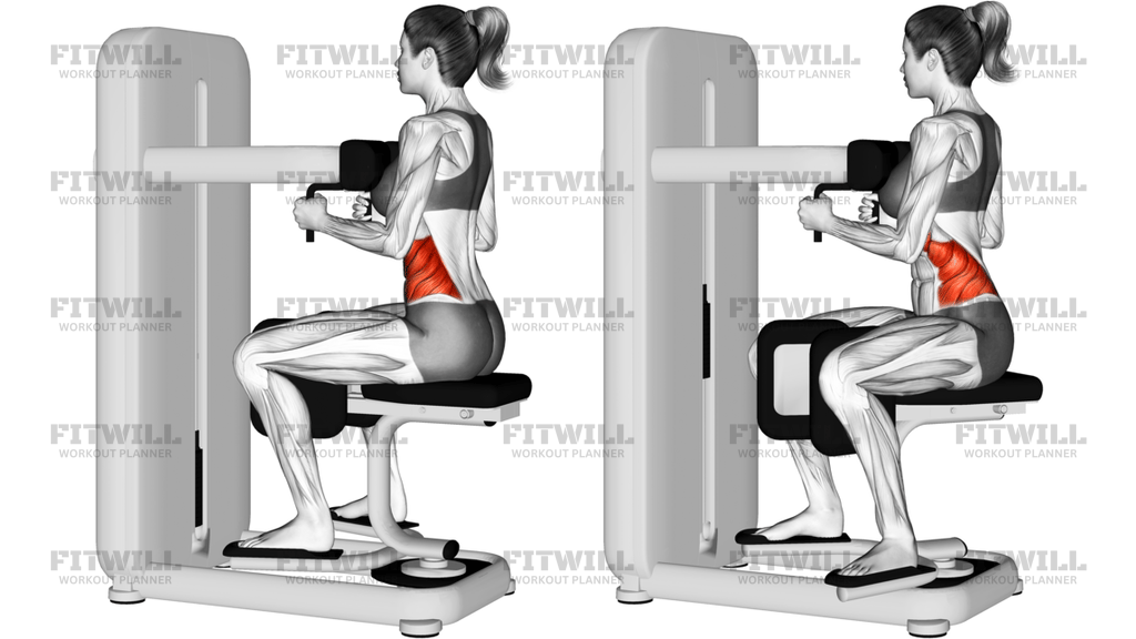 Lever Seated Twist