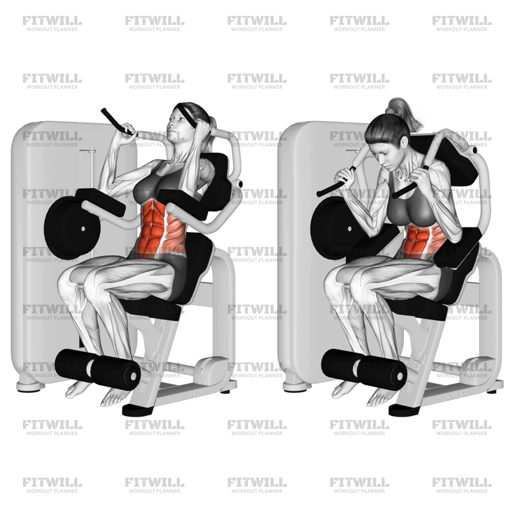 Abdominal Sentado Na Máquina Com Alavanca: Guia de Exercícios, Vídeo ...