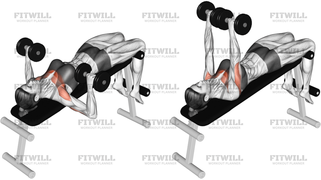 Dumbbell Decline Bench Press