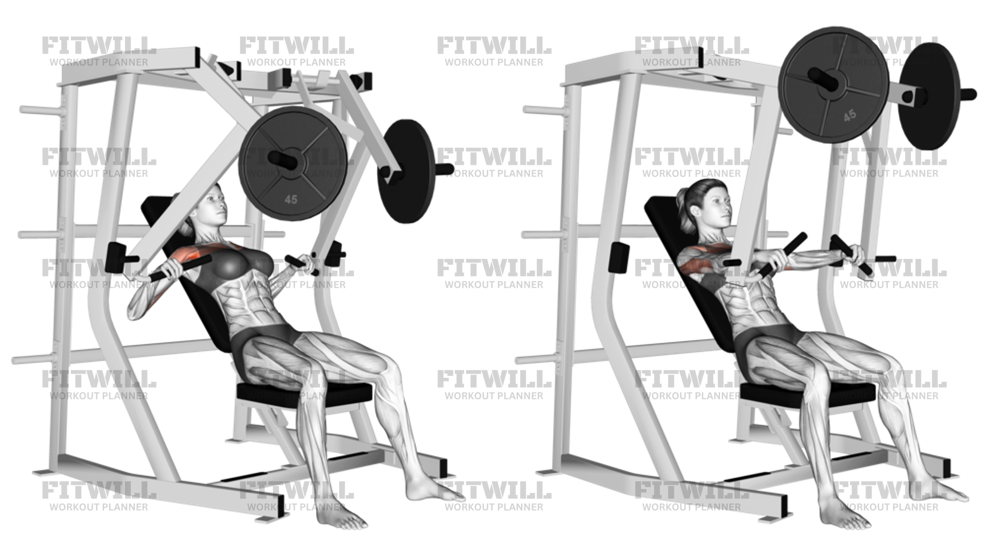 How to do decline chest press at home hotsell