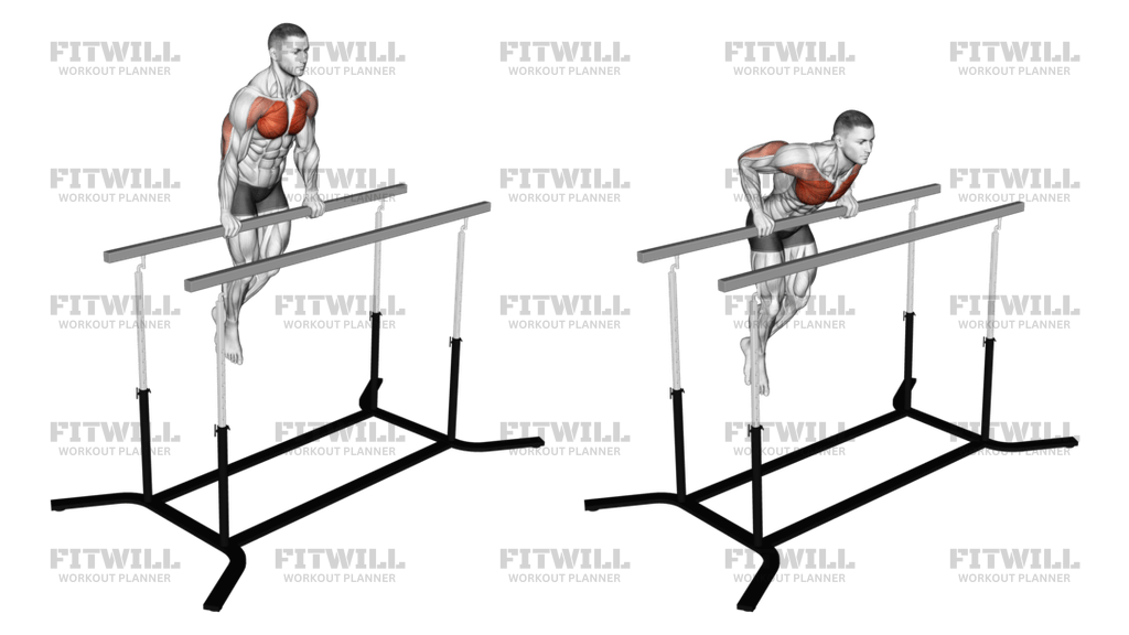 Dips on straight bar sale