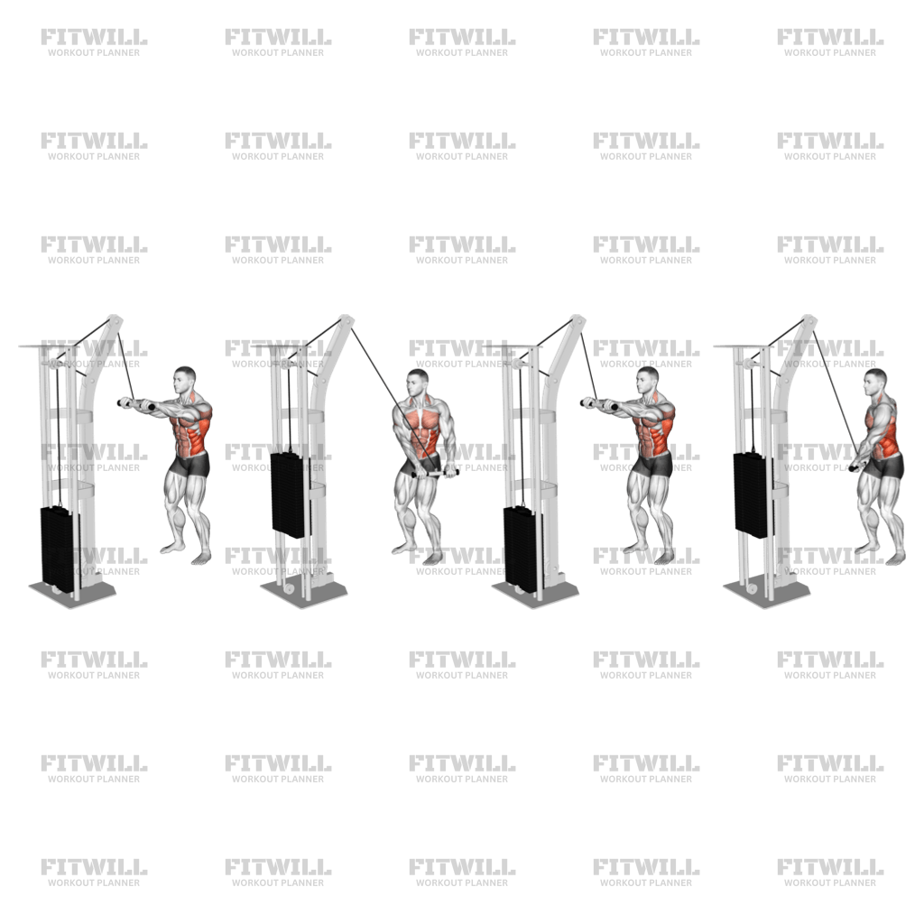 Cable Thibaudeau Kayak Row: Exercise Guide, Techniques, Benefits, How ...