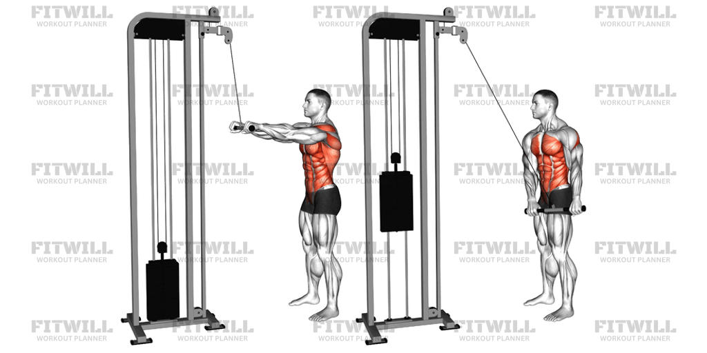Cable Thibaudeau Kayak Row: Exercise Guide, Techniques, Benefits, How ...