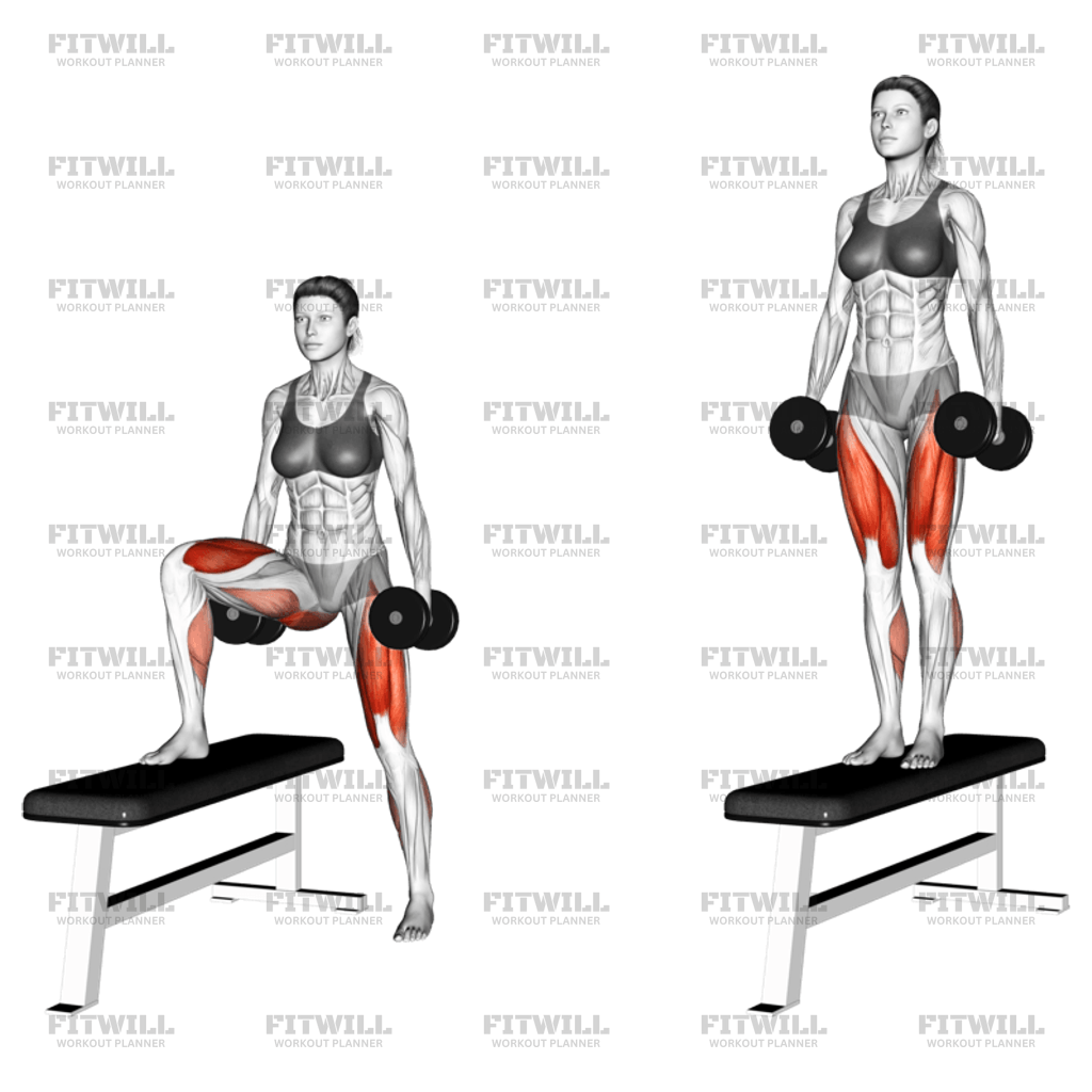 Dumbbell Lateral Step Up Exercise Video Fitwill