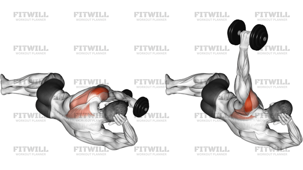 Dumbbell Lying On Floor Rear Delt Raise