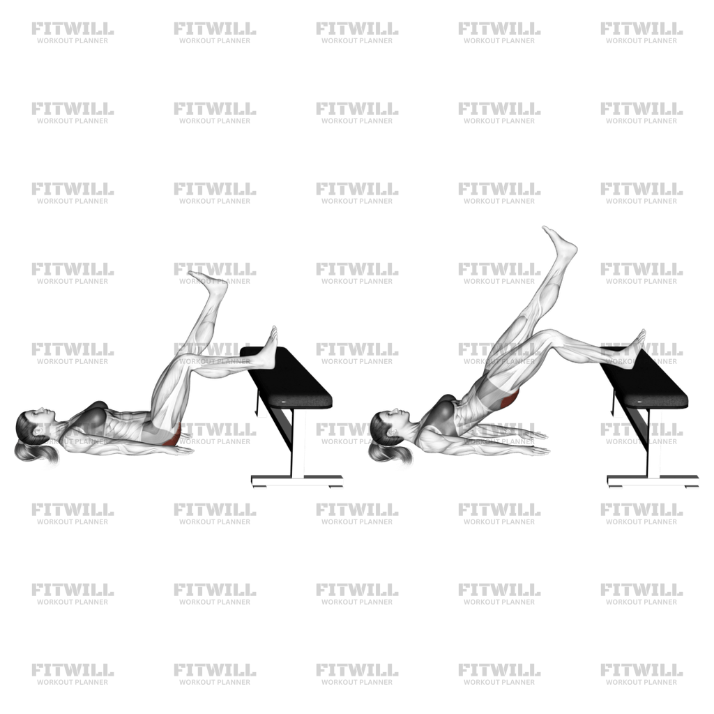 Glute Bridge One Leg On Bench Exercise Video Fitwill