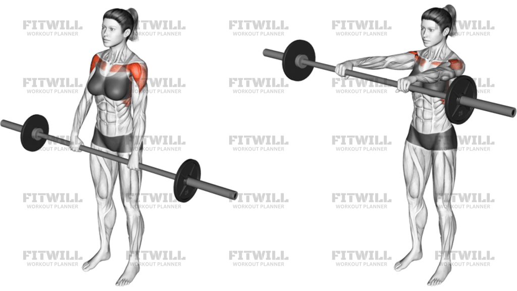 Barbell Front Raise