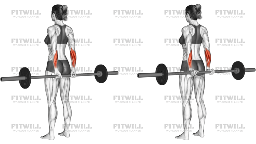 Barbell Standing Back Wrist Curl