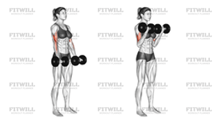 Dumbbell Biceps Curl