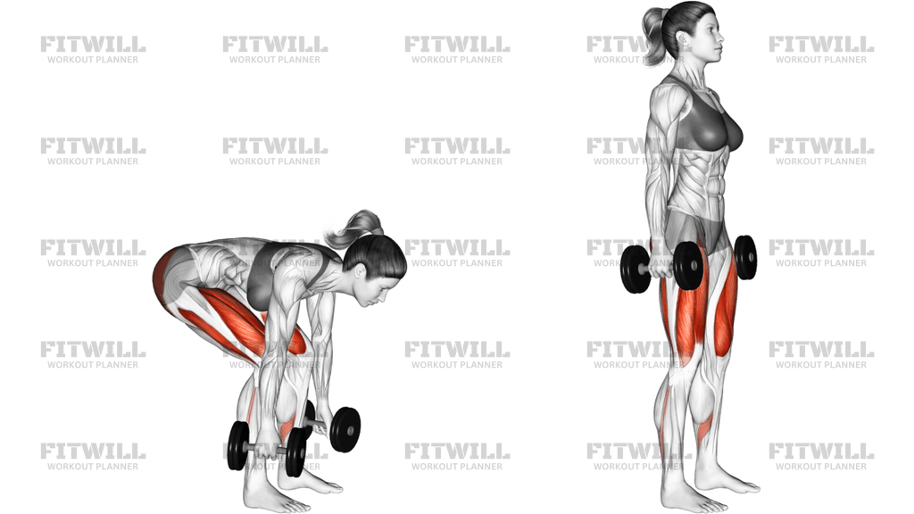 Dumbbell Deadlift
