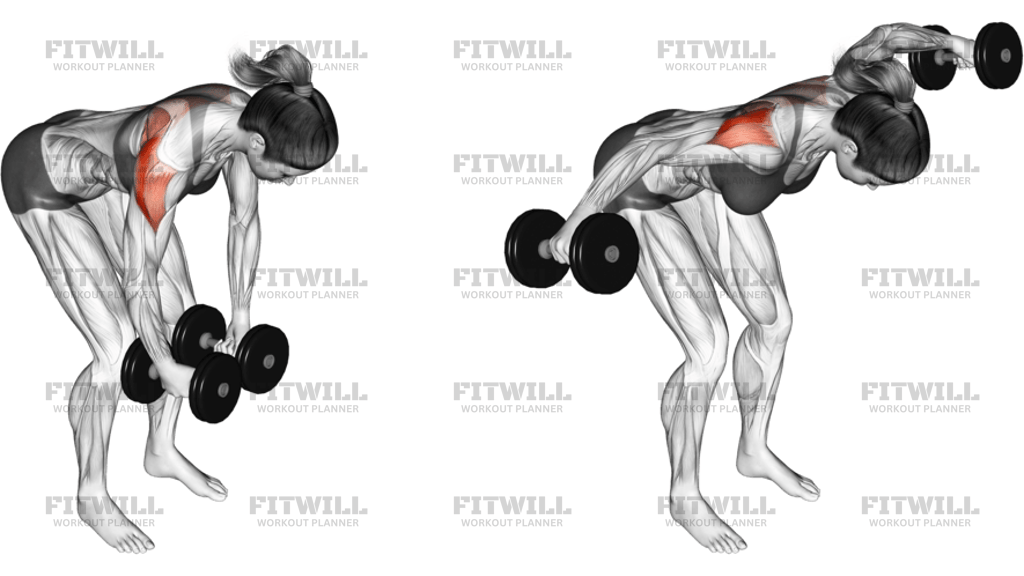 Dumbbell Rear Delt Fly