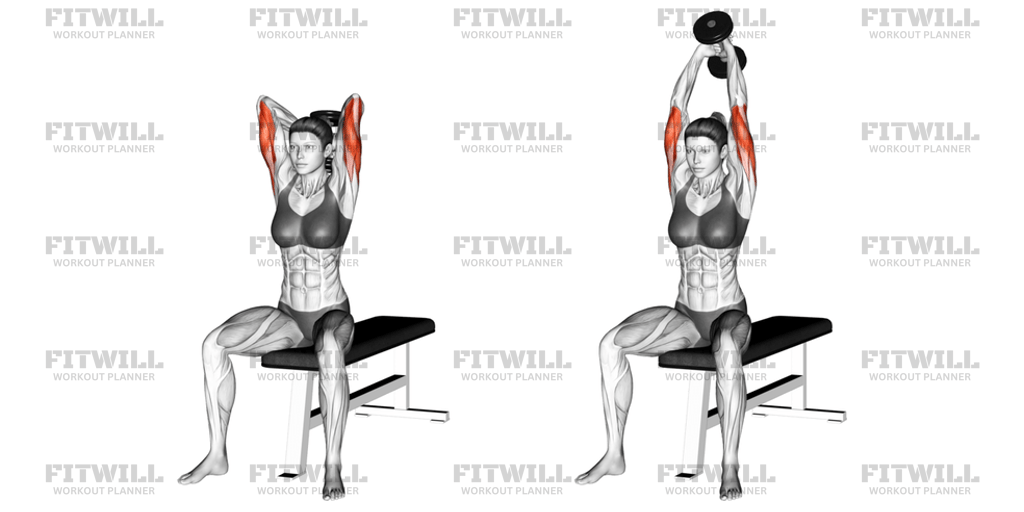 Dumbbell Seated Triceps Extension: Exercise Guide, Video, Techniques ...