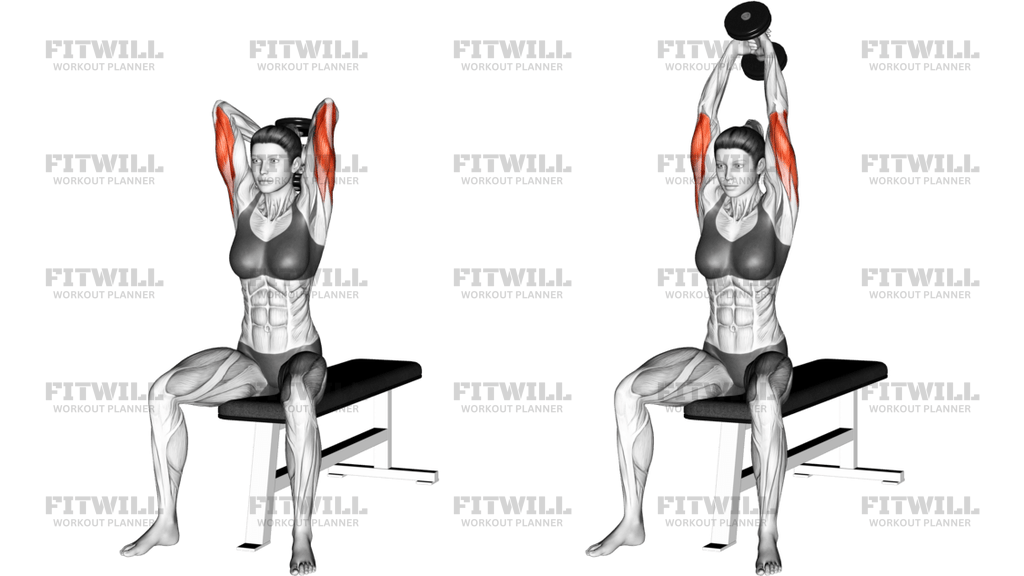 Dumbbell Seated Triceps Extension