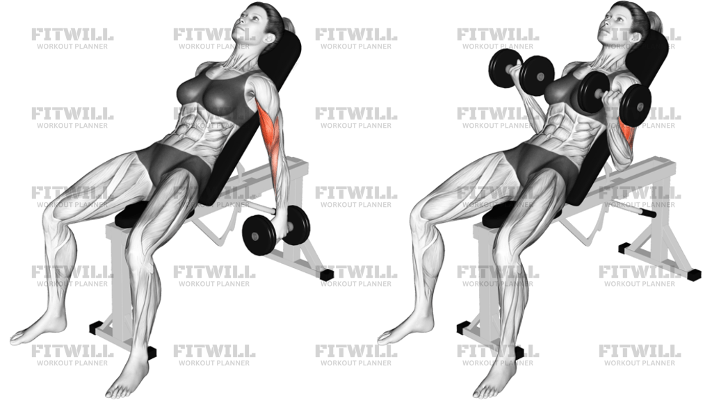 Dumbbell Incline Biceps Curl